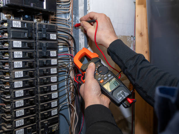 Best Electrician for Home Renovation  in Edwardsvle, IL